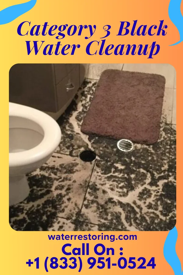 Category 3 Black Water Cleanup in Montrose, WV