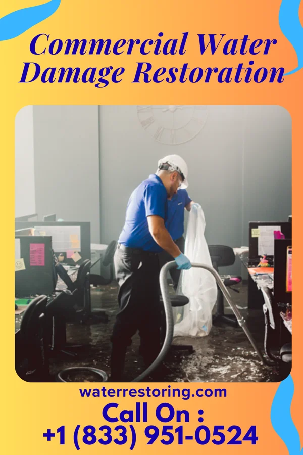 Commercial Water Damage Restoration in Montrose, WV