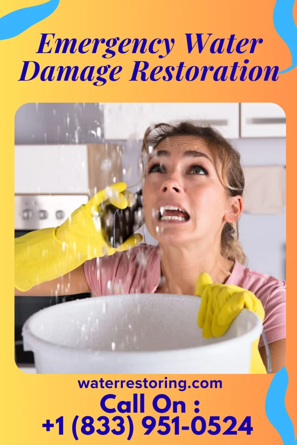 Emergency Water Damage Restoration in Montrose, WV