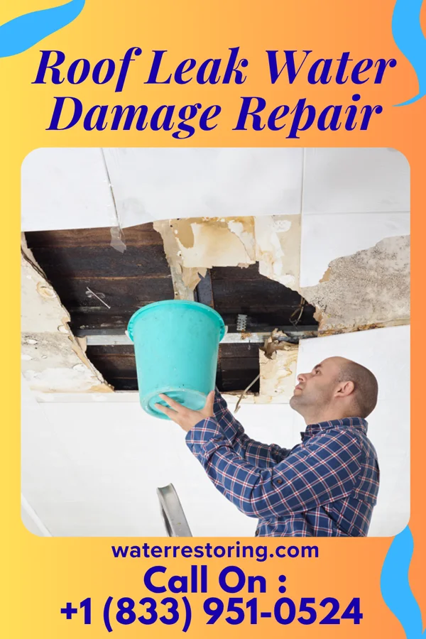 Roof Leak Water Damage Repair in Montrose, WV