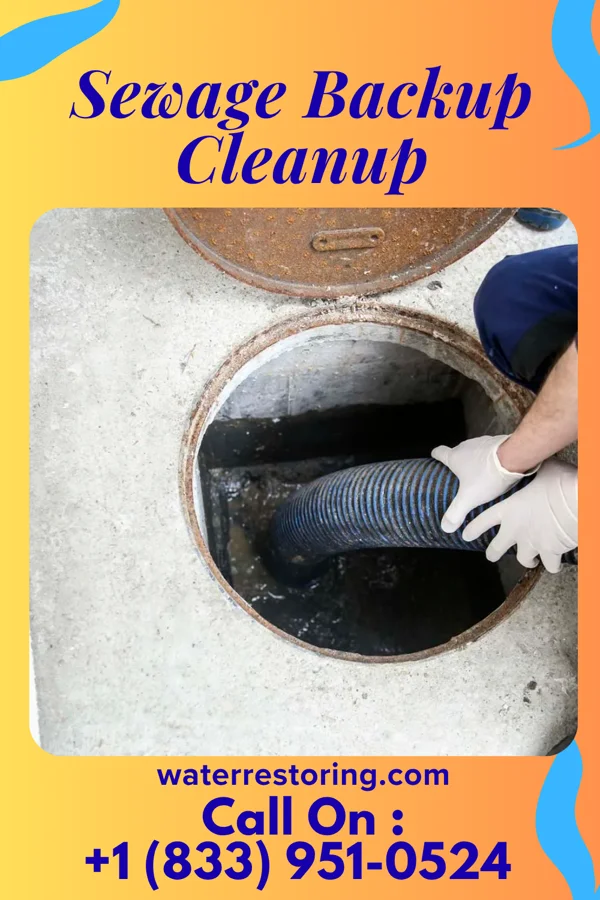 Sewage Backup Cleanup in Montrose, WV