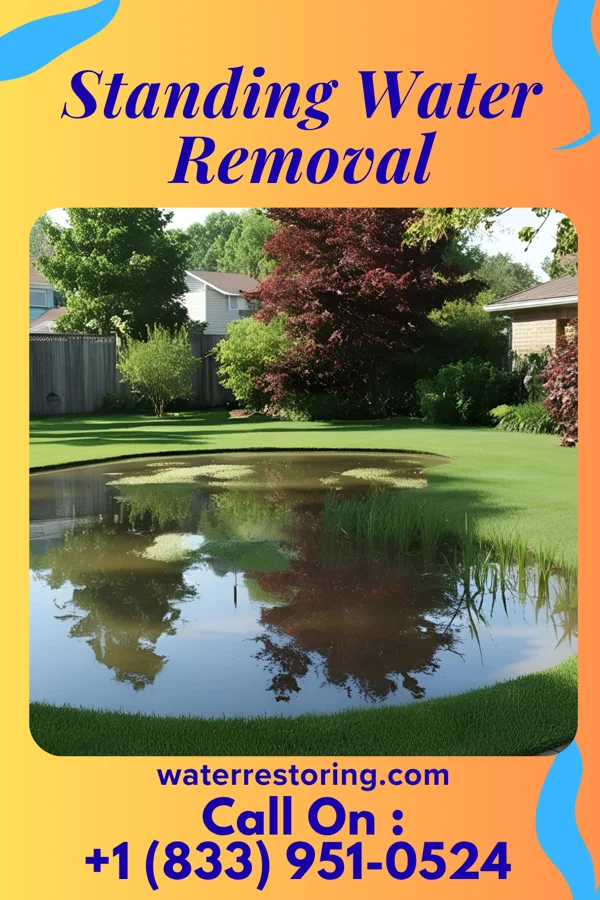Standing Water Removal in Montrose, WV